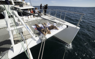 Croisière en bateau au Grau du Roi : pourquoi choisir Le Providence ?