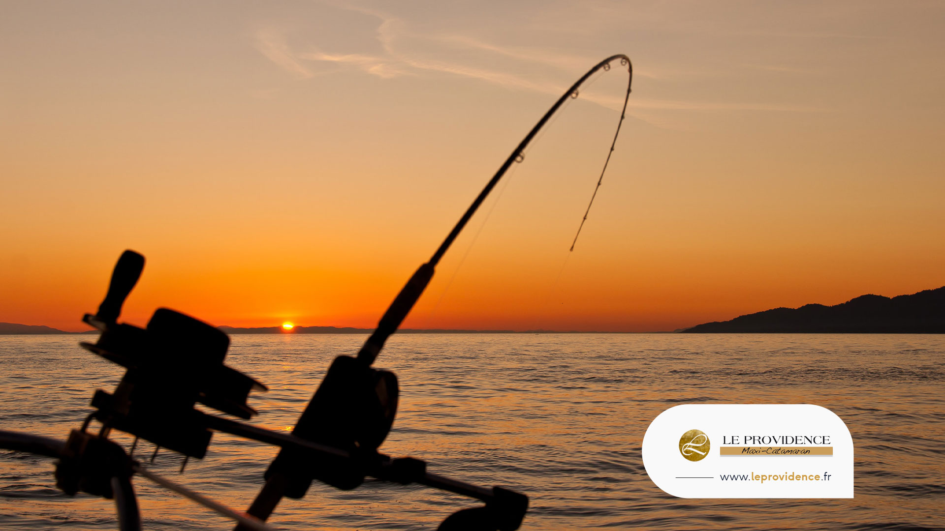 Team building Camargue, observer Les flamants roses