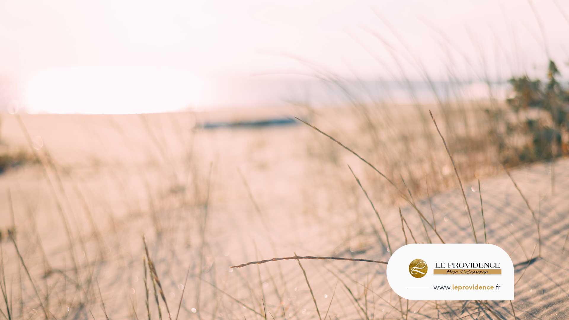 Plages-du-Grau-du-Roi