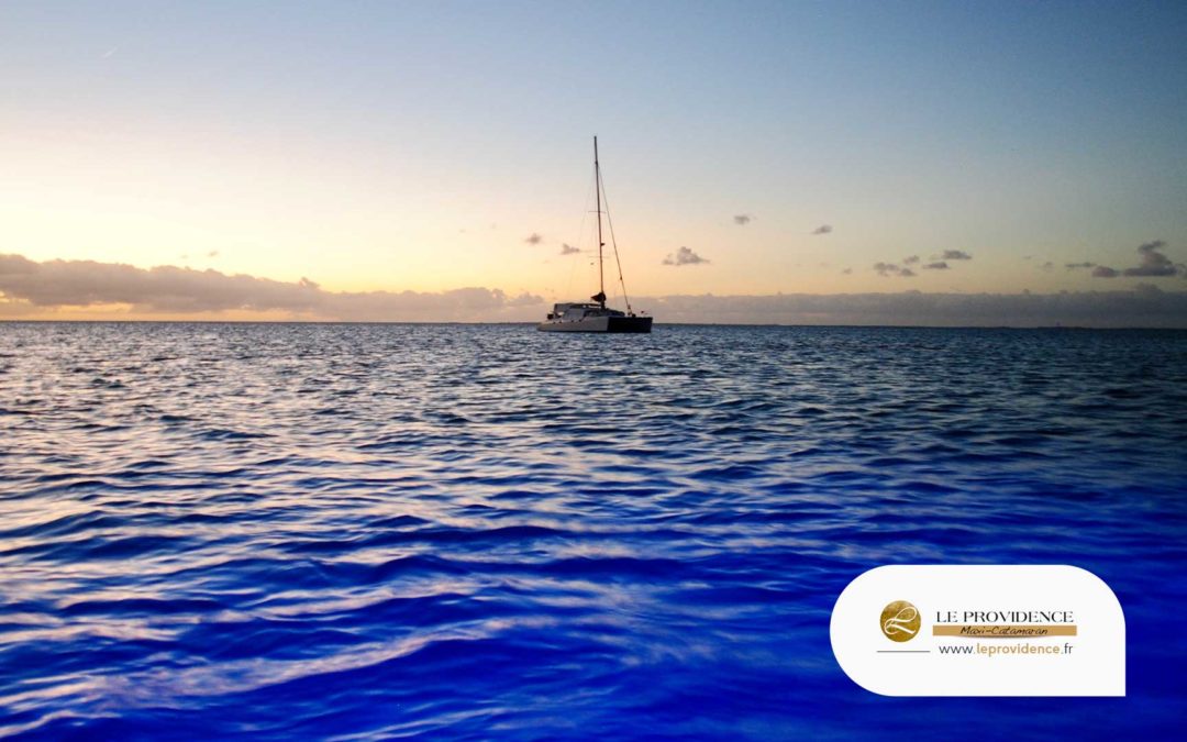 Organisez Votre Séminaire ou Team Building à Bord du Catamaran Le Providence