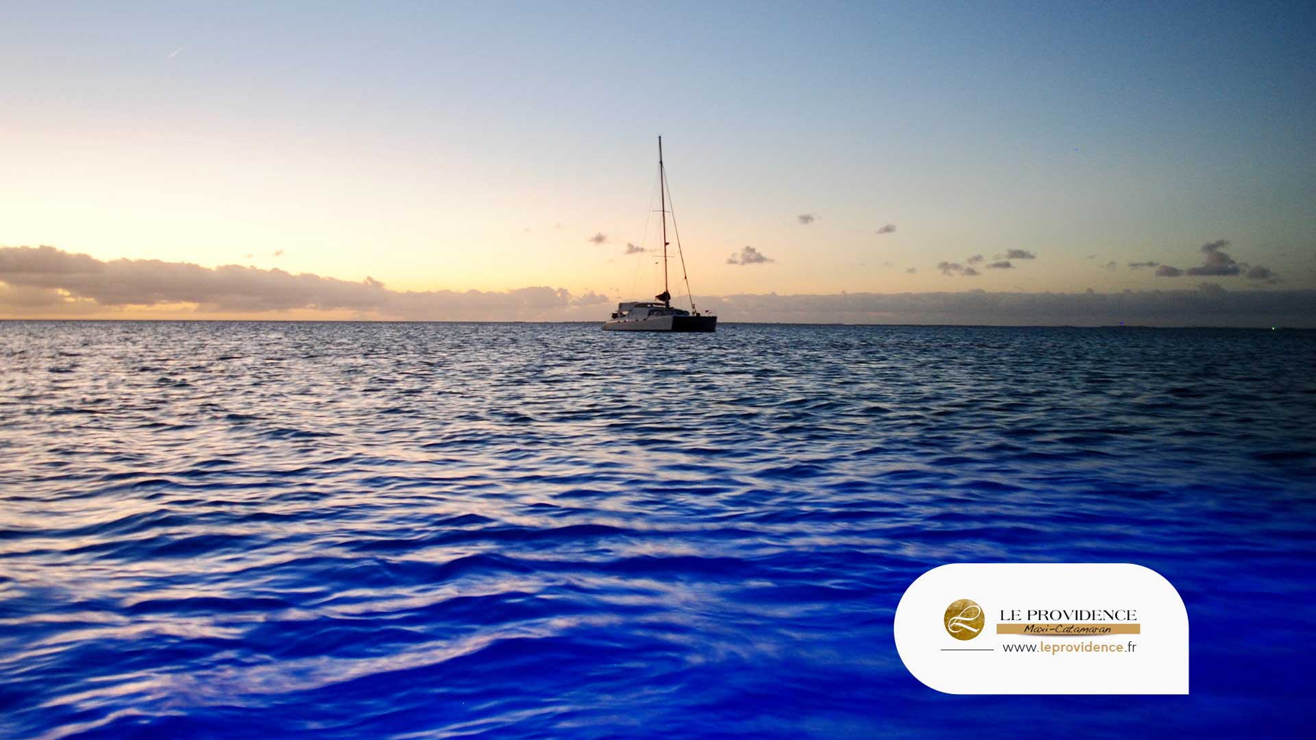 seaquarium-maxi-catamaran-sorties-en-mer