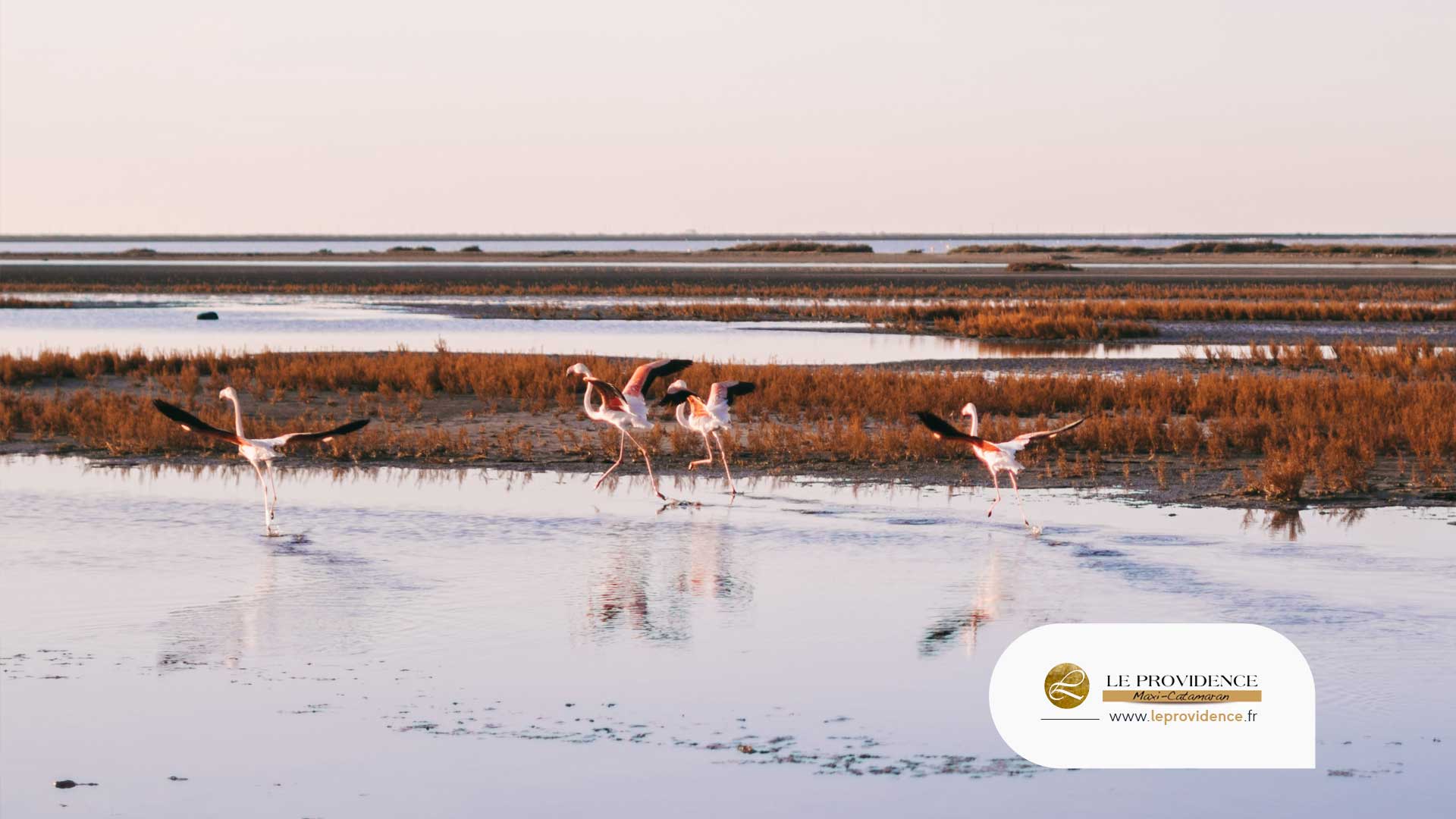 cote-sauvage-camargue-méditéranée