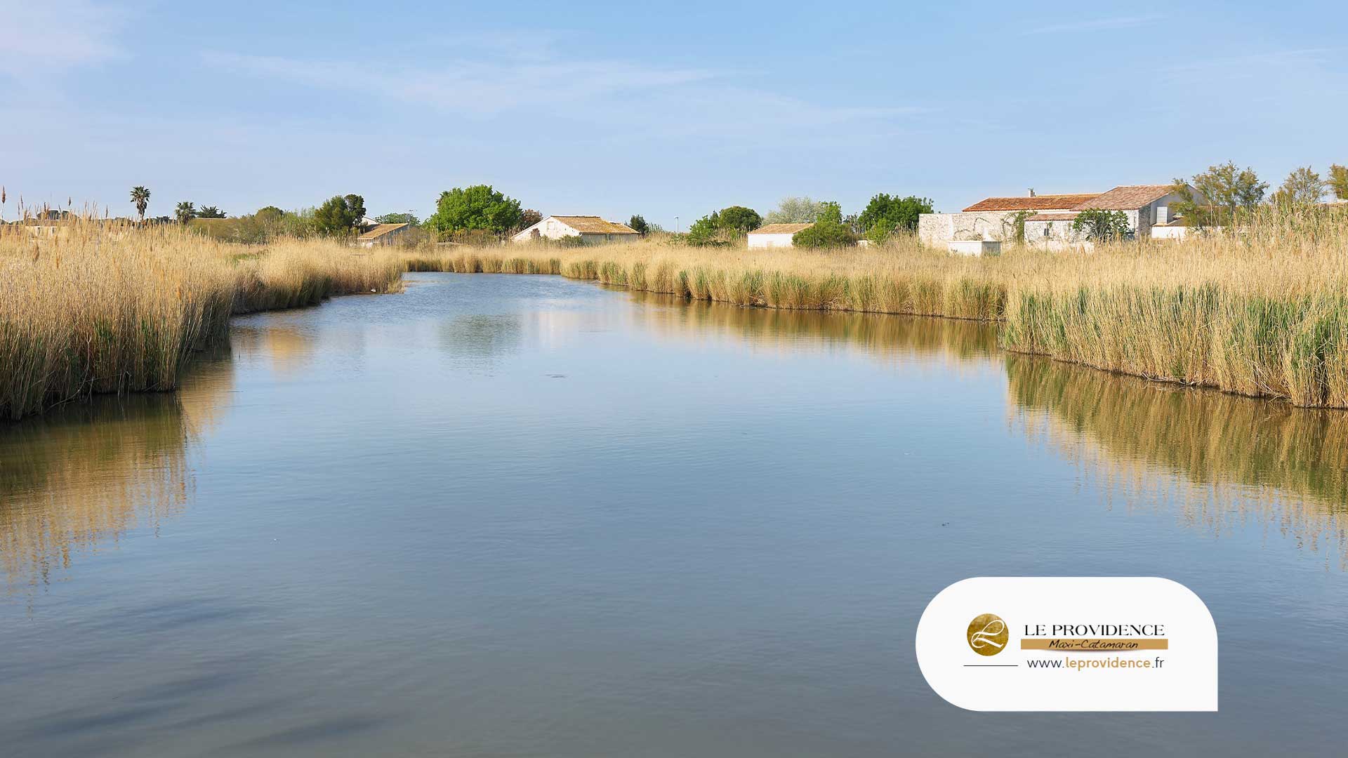 Camargue Aigues-Mortes