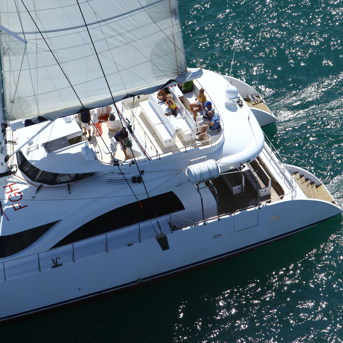 Catamaran-Providence Observer les dauphins au large du Grau du Roi