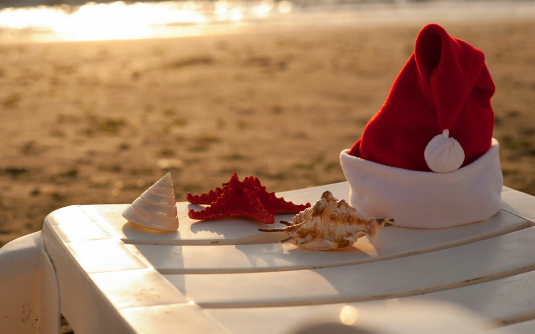 Bon cadeau de Noël, sortie catamaran au Grau du Roi : dauphins, sunset ou pêche, quelle aventure offrir ?